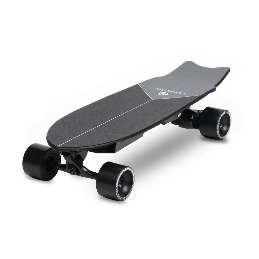 Ownboard M1 (30